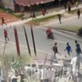 Makna Burung Cenderawasih dan Aksi Rusuh di Boven Digoel