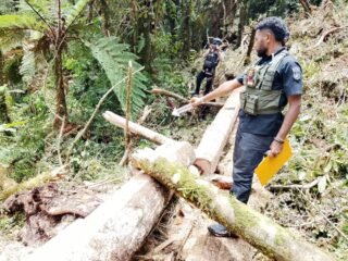 Respon Cepat, Polres Jayawijaya Olah TKP Kecelakaan Kerja di Distrik Wame Wamena