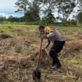 Polsek Kawasan Bandara Wamena Cek Lahan Jagung, Dukung Program Ketahanan Pangan