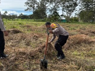 Polsek Kawasan Bandara Wamena Cek Lahan Jagung, Dukung Program Ketahanan Pangan